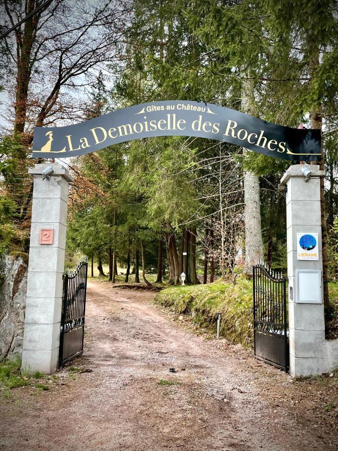 Demoiselle Des Roches Apartamento Ramonchamp Exterior foto
